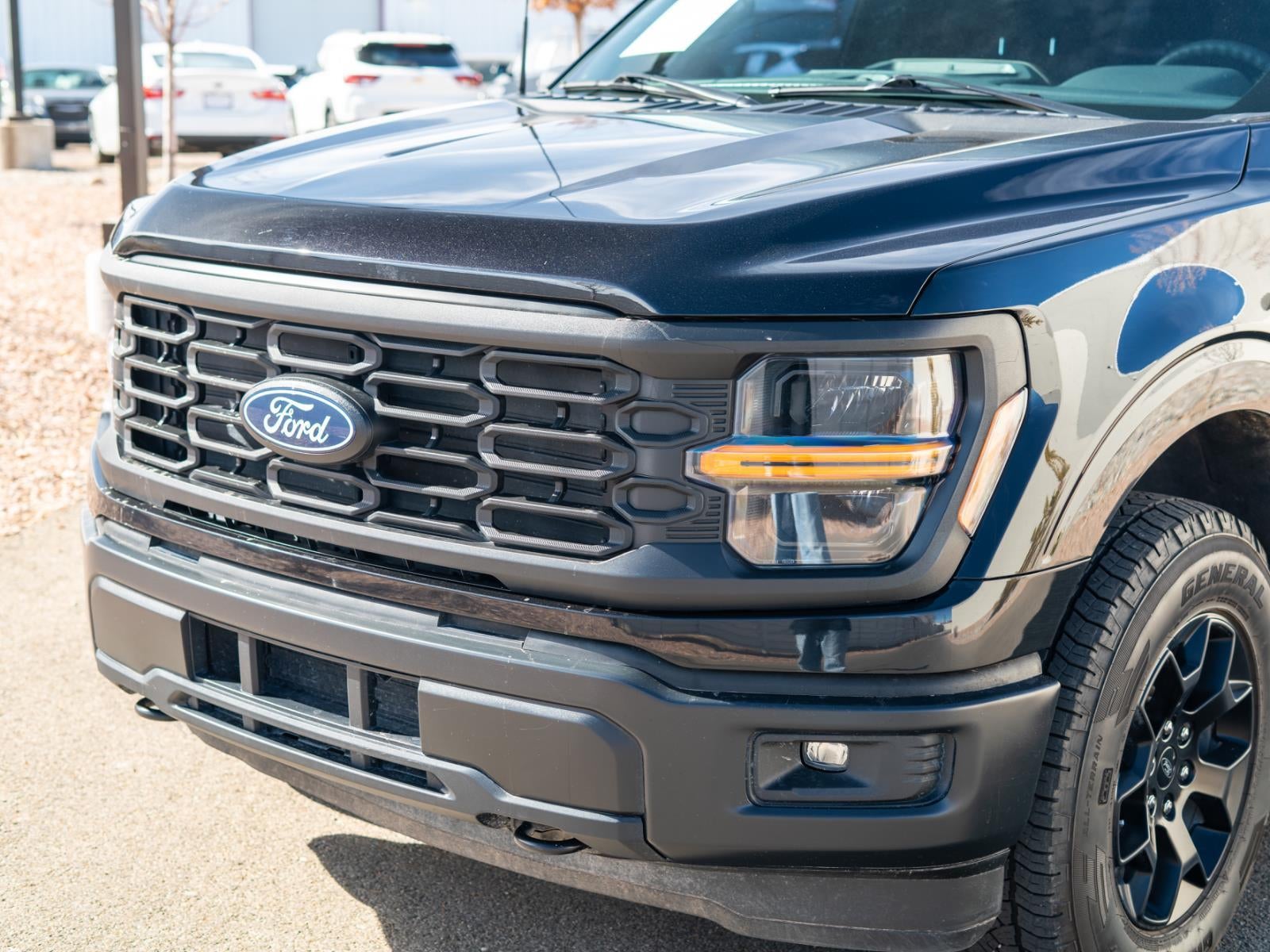 2025 Ford F-150 STX
