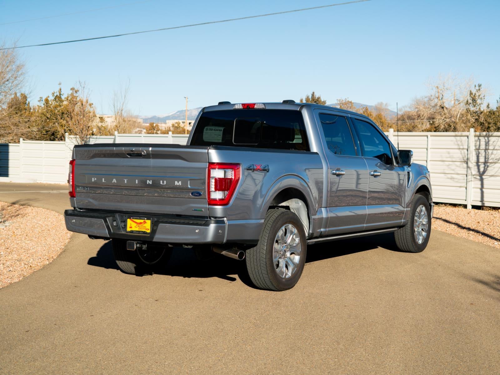 2022 Ford F-150 Platinum