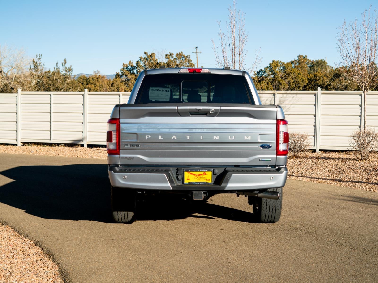 2022 Ford F-150 Platinum