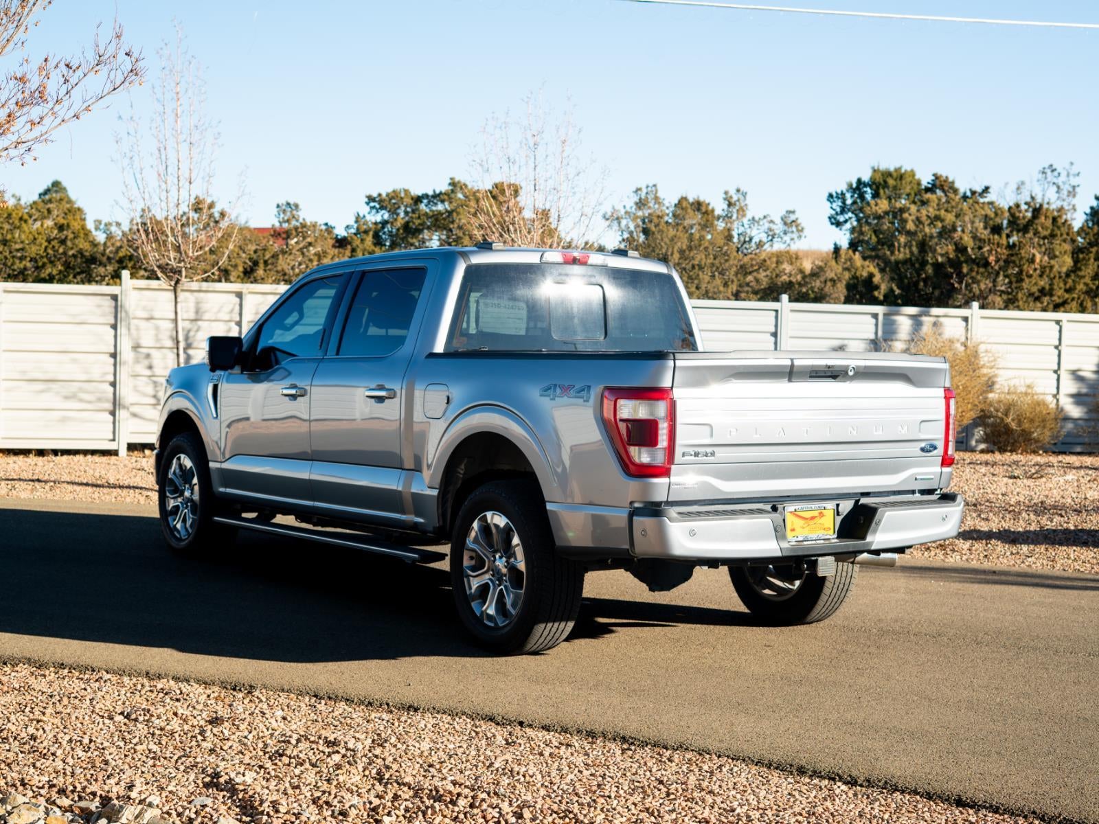 2022 Ford F-150 Platinum
