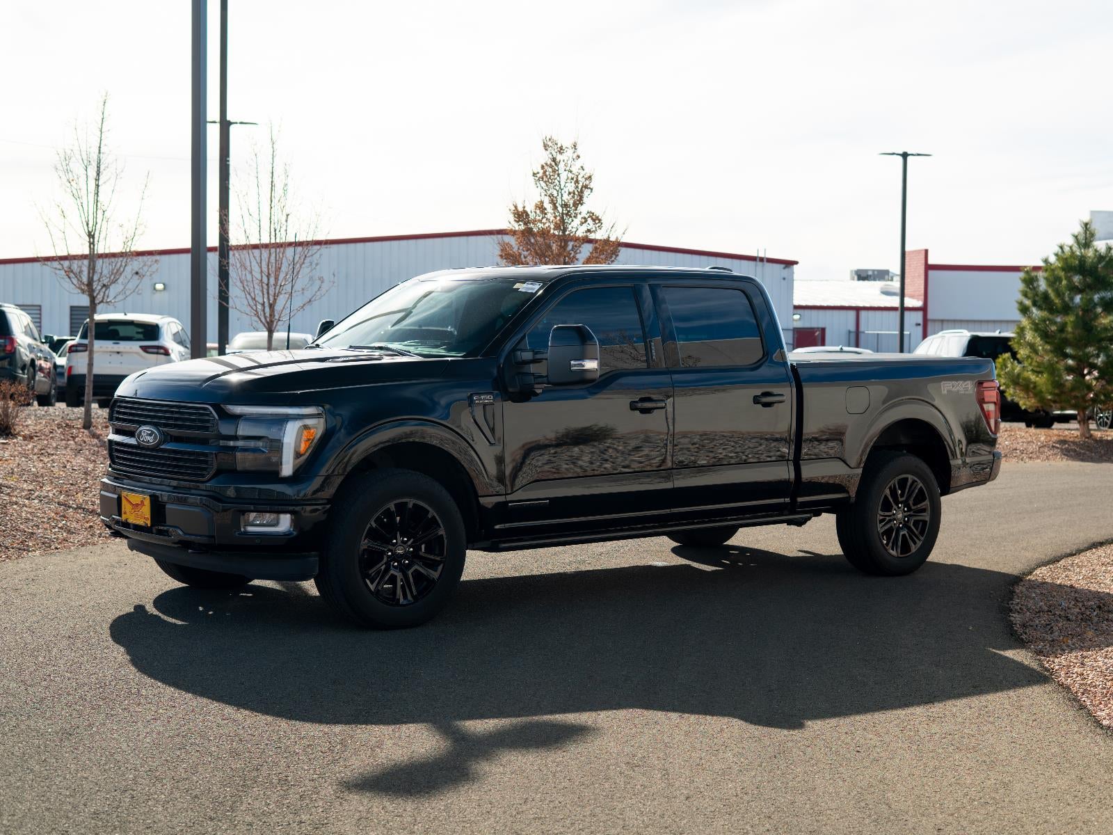 2024 Ford F-150 Platinum