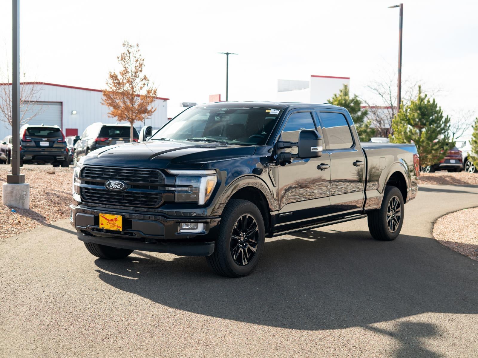 2024 Ford F-150 Platinum