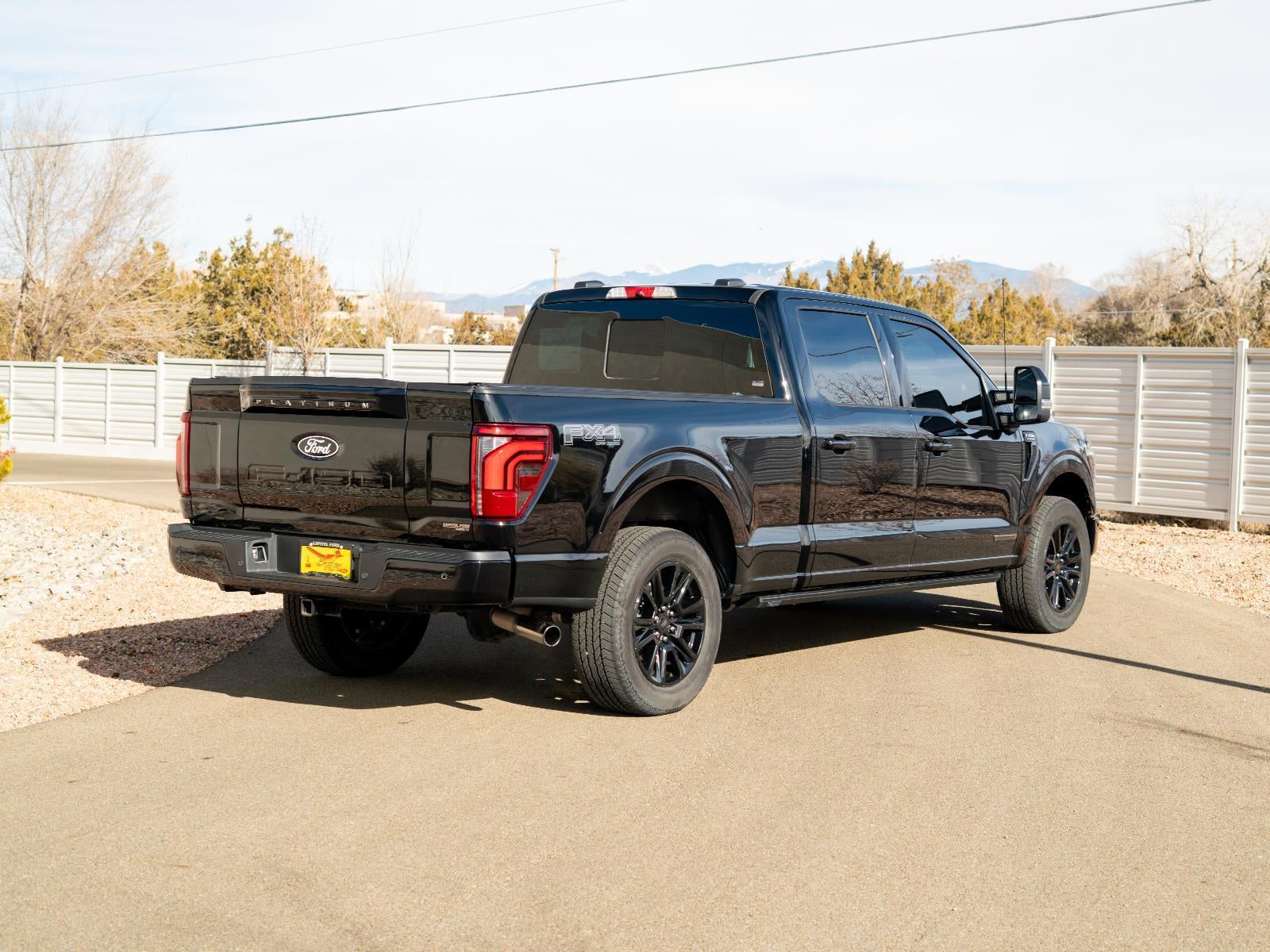 2024 Ford F-150 Platinum