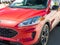 2022 Ford Escape Hybrid SE