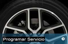 Programar Servicio
